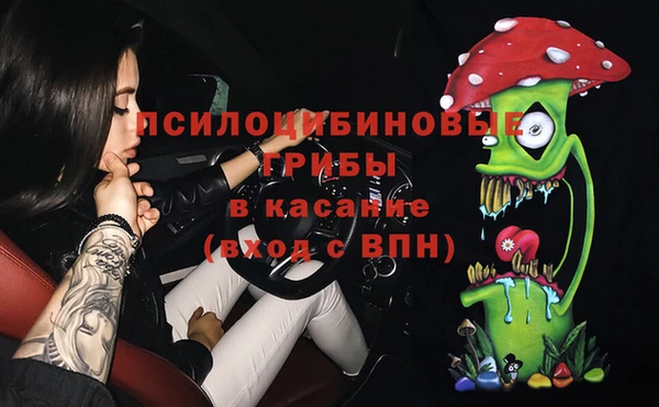 apvp Алексеевка