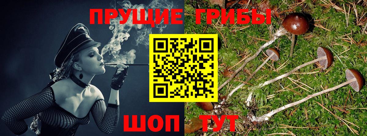 Нягань  купить   Вход с VPN  Псилоцибиновые грибы прущие грибы 